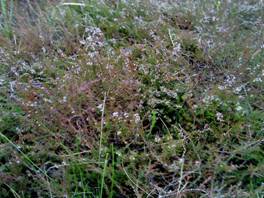 DSC00271.JPG
