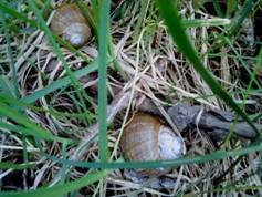 DSC00279.JPG