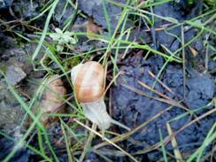 DSC00280.JPG